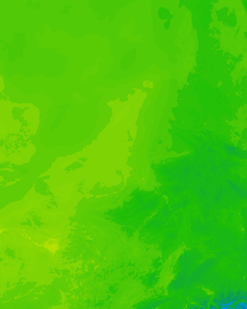 Image Layer