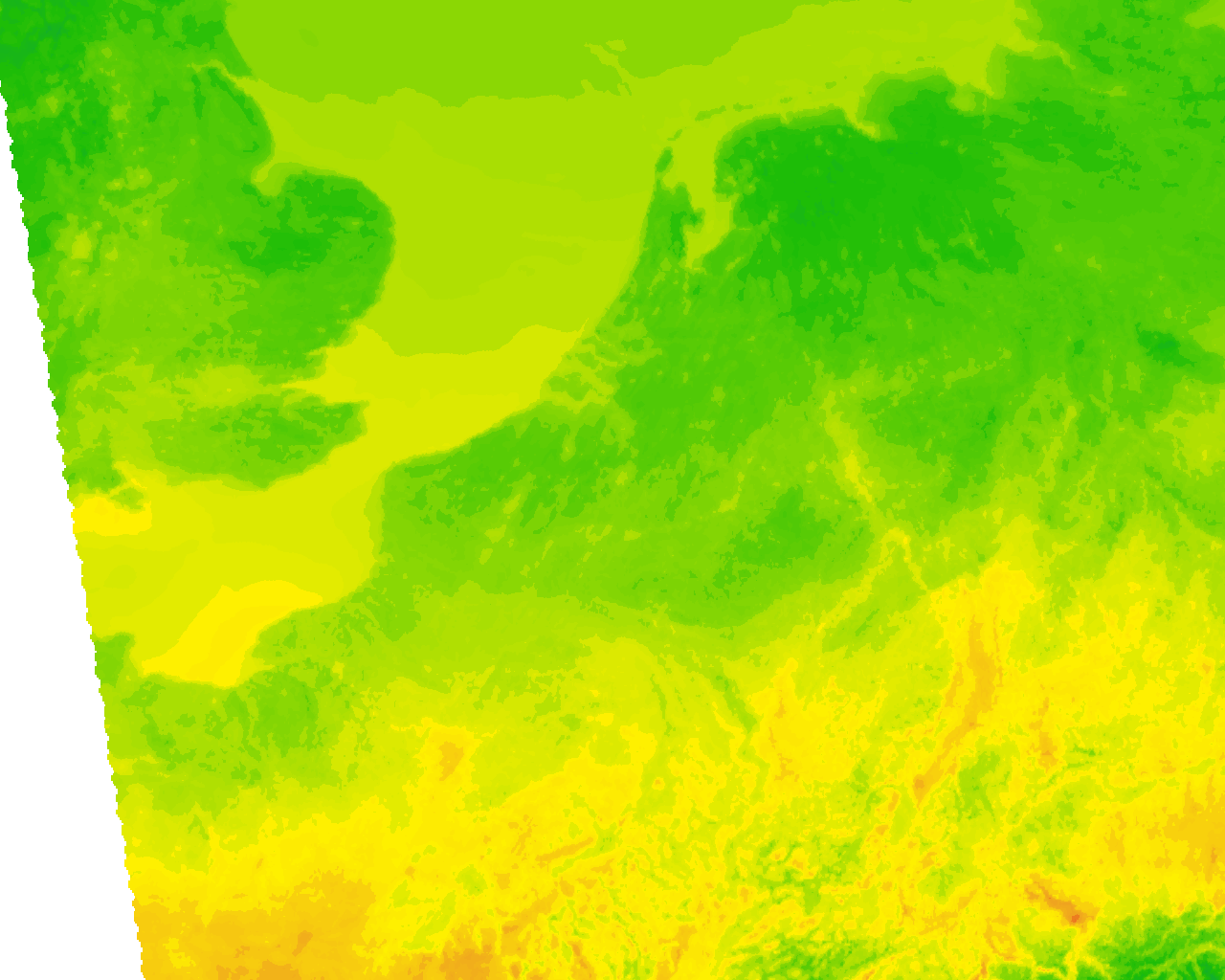 Image Layer