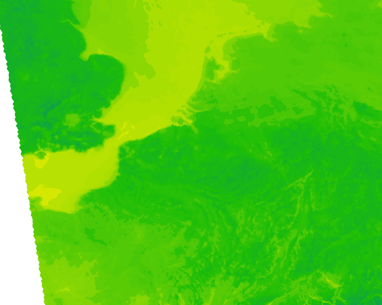 Image Layer