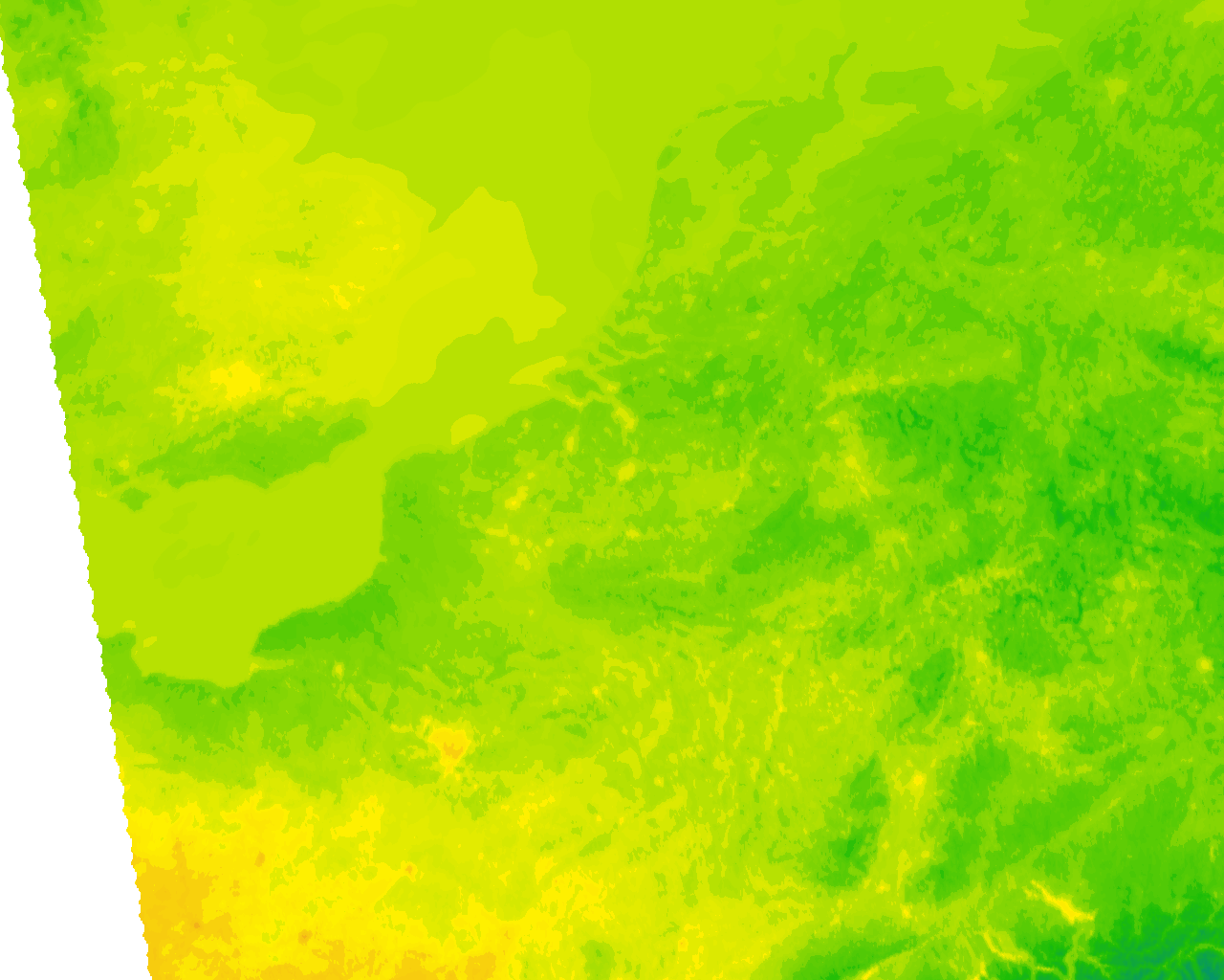 Image Layer