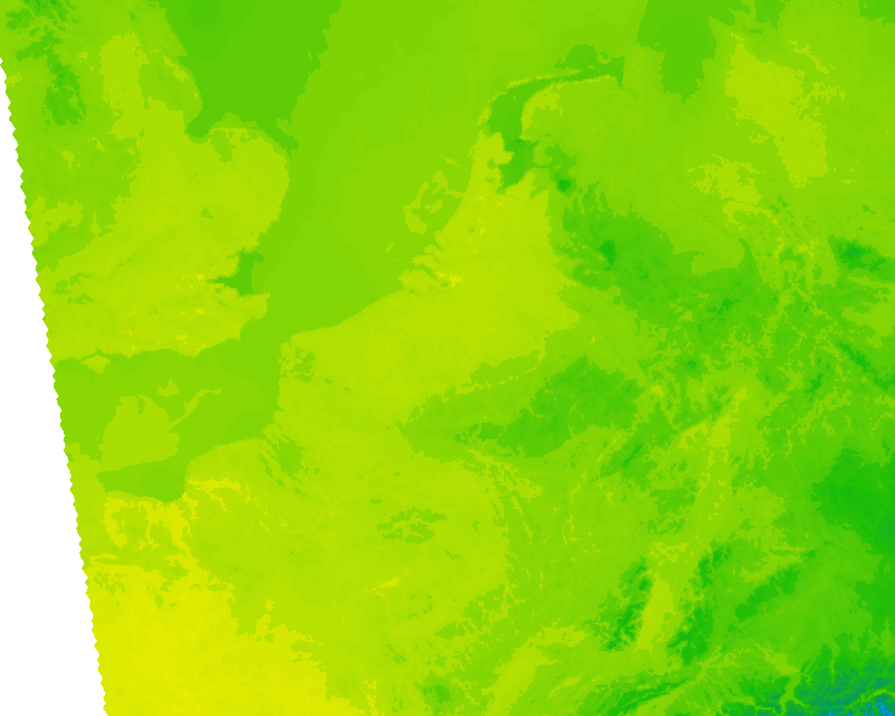 Image Layer