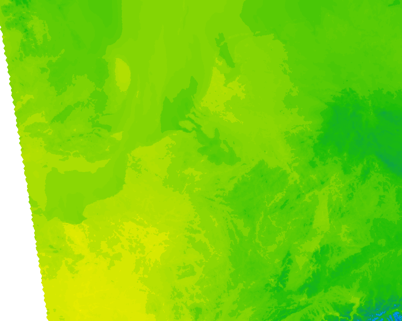 Image Layer