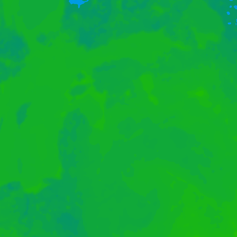 Image Layer