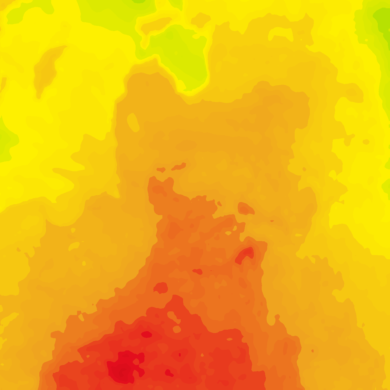 Image Layer