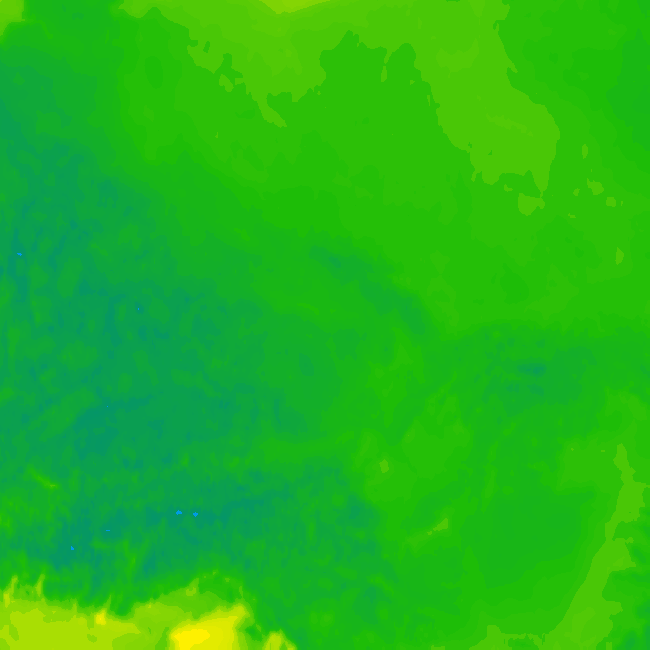 Image Layer
