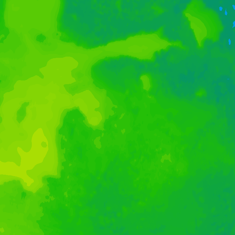 Image Layer