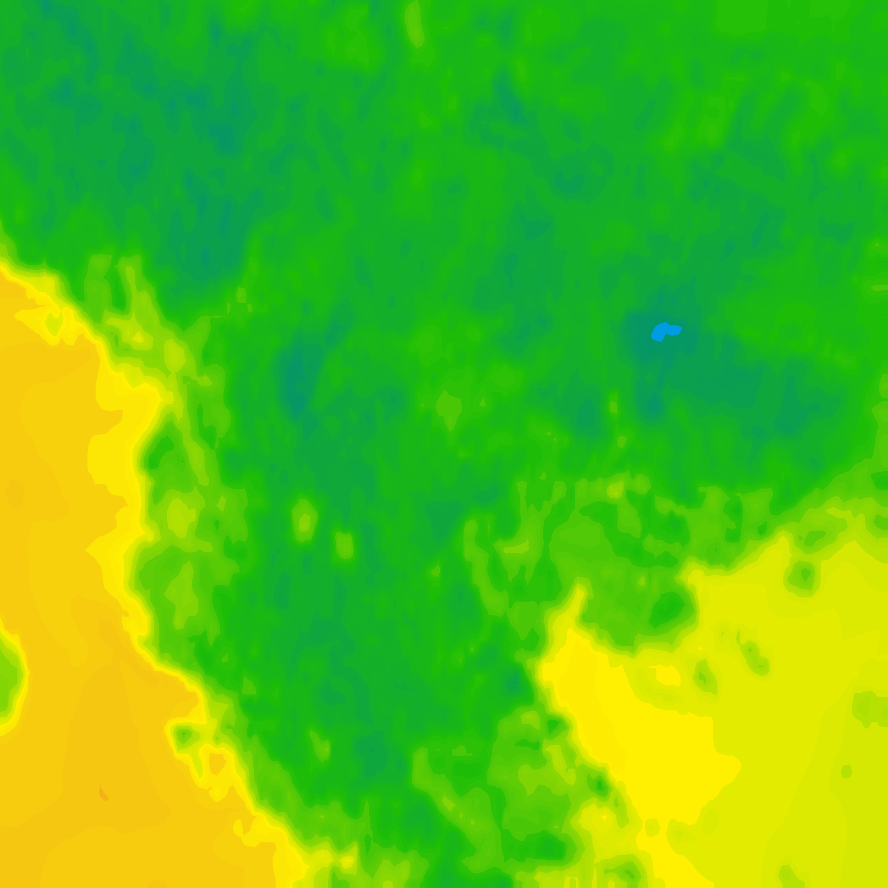 Image Layer