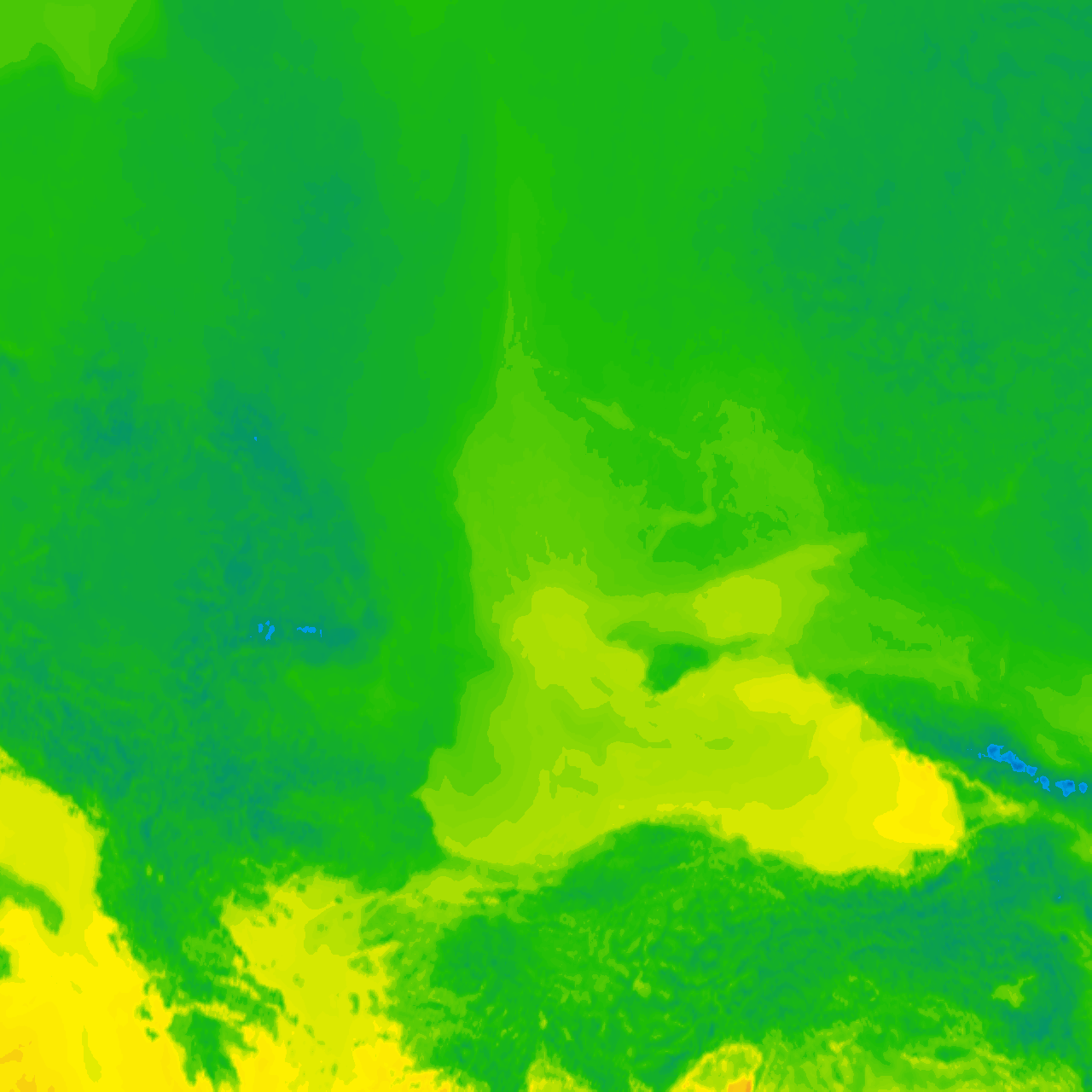 Image Layer
