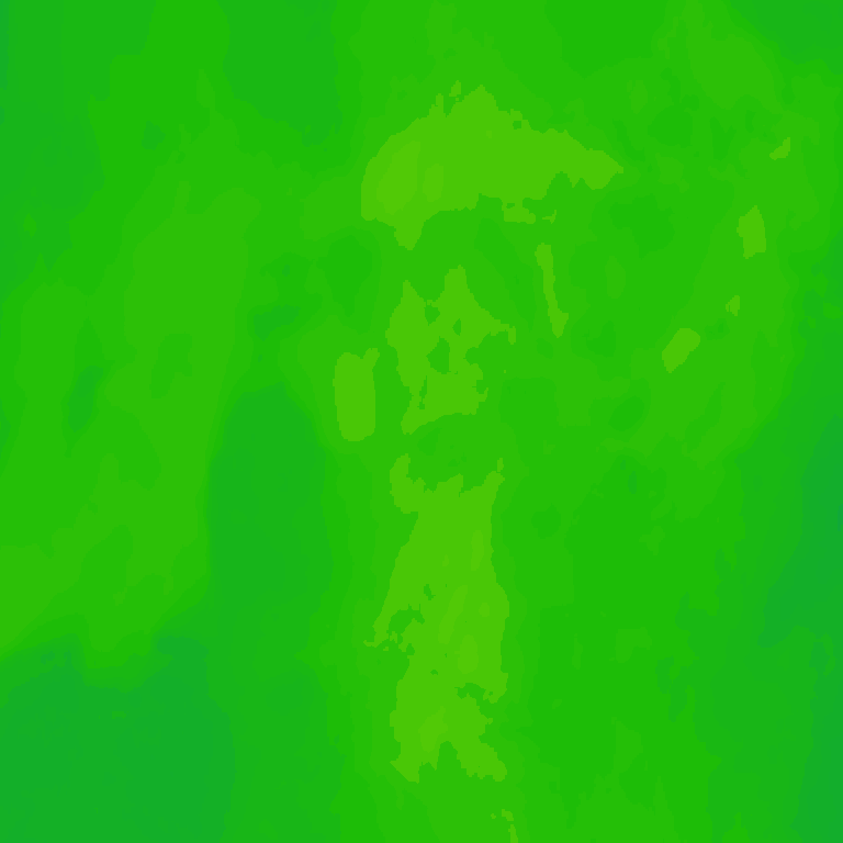 Image Layer