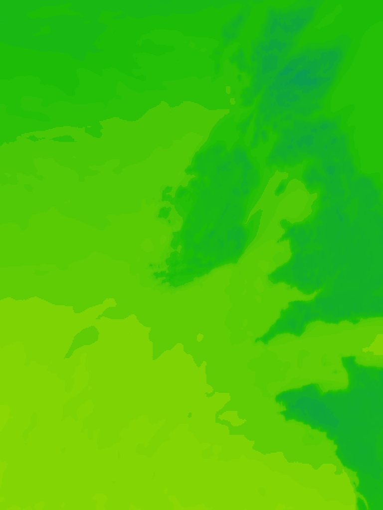 Image Layer