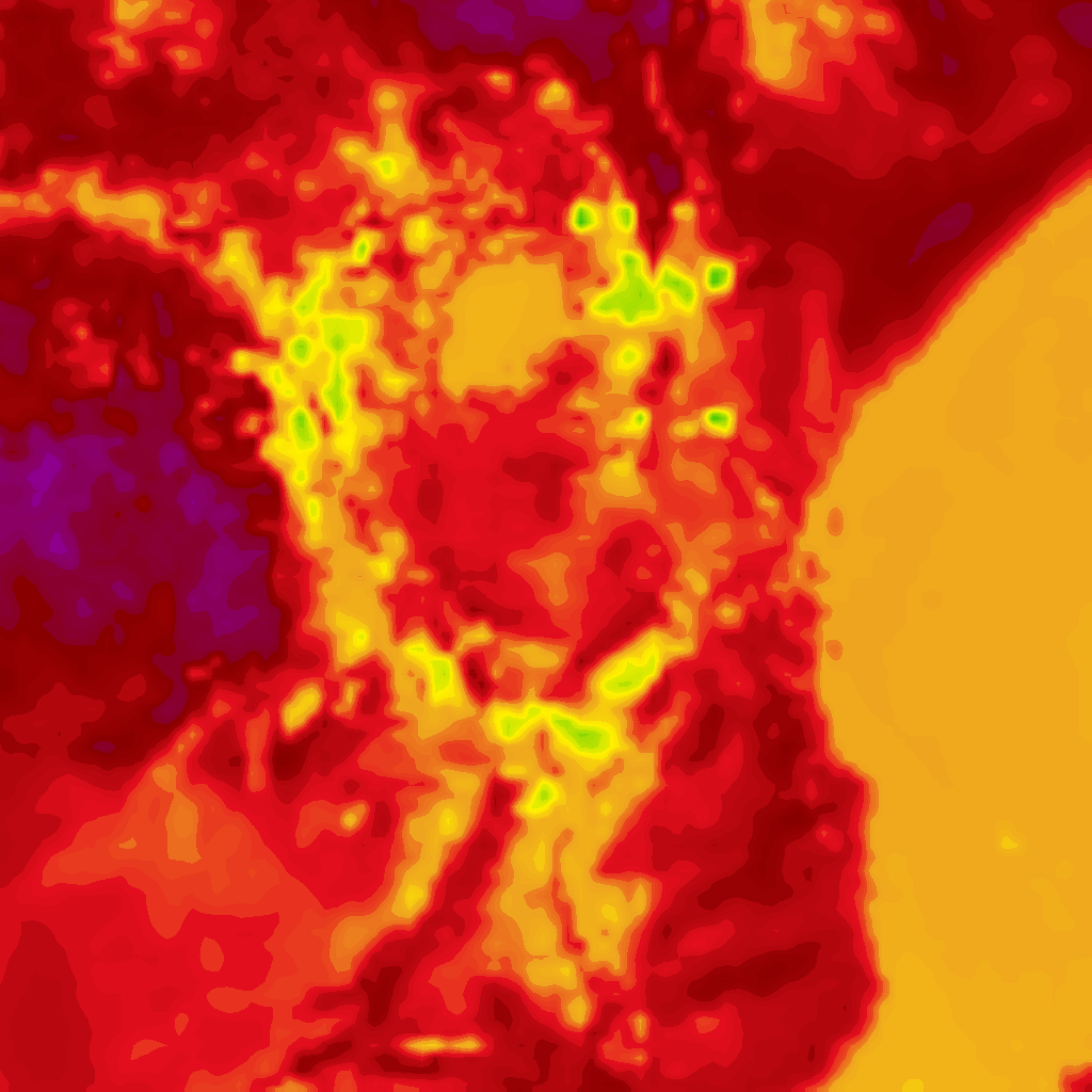 Image Layer