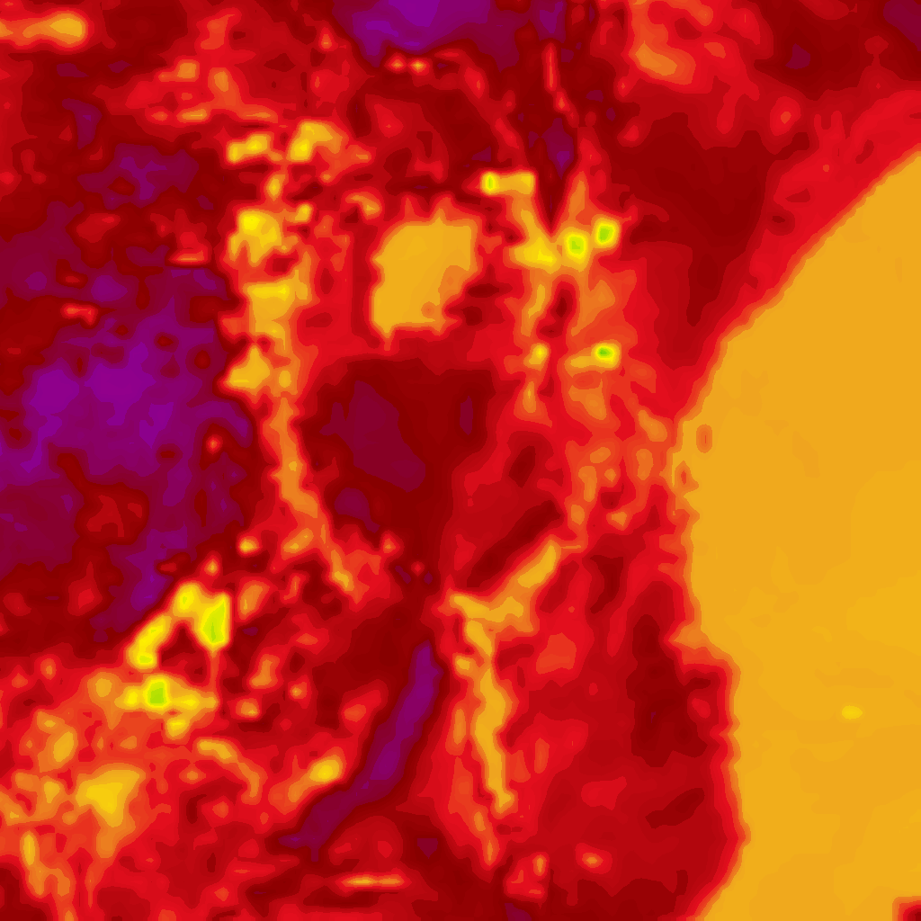 Image Layer